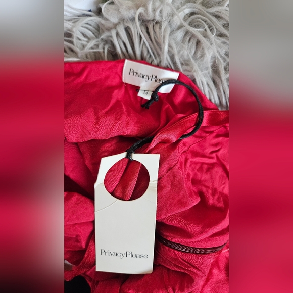 NEW Privacy Please Nina Dress In Ruby Red Size M - Picture 6 of 7